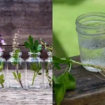 Banana Lemon Ginger Smoothie in 5 minutes