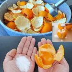 The Best Tea Combinations for Morning and After Dinner: A Blend of Garlic, Turmeric, Onion, Ginger, Cinnamon, and Guava Leaves
