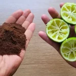 The Power of Onion and Cloves: A Natural Remedy for Health and Household