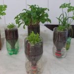 How to Detect Negative Energy in Your Home Using Salt, Water, and Vinegar