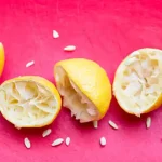 How to plant lemon in a pot – perfume and decorate your home