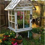 Say Goodbye to Flies, Mosquitoes, and Cockroaches: Just 1 Hour with This Method