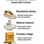 These guys cause massive damage, and they are spreading across the US. Here’s how to recognize them and what you should do next