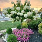 10 Creative DIY Cinder Block Garden Projects