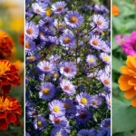 Extend Your Growing Season: Building a Hinged Hoophouse for Raised Bed Gardens
