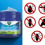 Say Goodbye to Weeds with This Easy Homemade Spray – Here’s the Recipe You Need