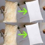 After seeing this, you’ll want to freeze water in tin cans too!