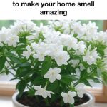 Tea bags are a gardener’s nourishment source. Here’s why.