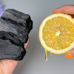 12 Plants That Benefit From Eggshells (Don’t Throw Them Away!) 
