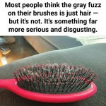 Why This Forgotten Backyard Item Deserves a Comeback