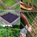 Healthy Tomato & Pepper Plants GUARANTEED! (Add THIS for Strong Growth)