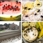 Natural Teeth Whitening at Home: A Better Alternative