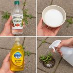 How to Make Homemade Vaseline: A Simple DIY Guide