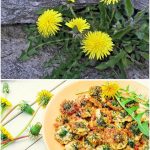 Unwinding Nature’s Mystique: Creating Your Spiral Herb Garden with Optimal Plant Positioning