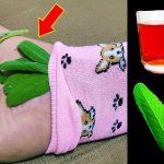 Cloves: A Natural Solution for Skin Tags and Warts