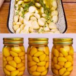 Pick A Nut To Reveal If You’re Lazy Or A Workaholic.