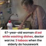 Fresh tomatoes for 2 years, no vinegar needed: the infallible method to make them last that long