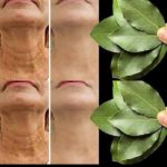Discover the Power of the Leaf That Will Transform Your Health!