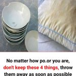 What does it mean to have frogs in your house?