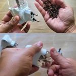 Here are 3 simple ways to keep mice out of your home