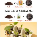 The Ultimate Guide to Composting: Transforming Waste into Garden Gold