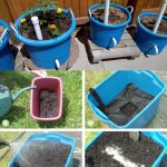 33 Gardening Hacks That Will Simplify Your Gardening Tasks