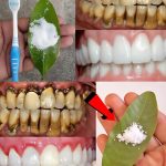 The Amazing Benefits of Magnesium: What Happens When You Take It Daily