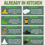 Did You Know These Health Benefits