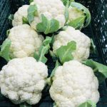 How Long Can a Woman Live Without Physical Inti.macy?