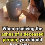 Beautiful Nature-inspired