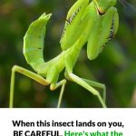 The Purpose of Small Hallway Sinks