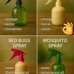 You are doing it wrong. Here’s what fertilizer to use on what houseplants