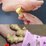 Homemade Baileys Irish Cream Perfect Christmas Gift!