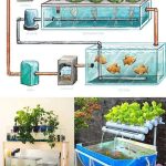 The Hidden Healing of Fig Leaves: Natural Support for Diabetes, Digestion, and More