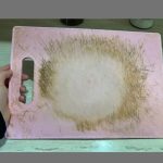 4 groups of people should avoid eating chayote