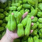 The Unexpected Reason I Wrapped My Neighbors’ Door Handle in Foil