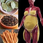 6 incredible benefits of burning bay leaves