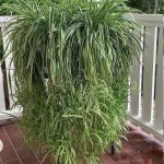 How to Clean Tile Grout