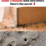 5 Things You Only Get When Loving an Older Woman