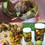 6 Cakes So Moist and Sneaky, Even Picky Eaters Beg for Seconds.