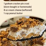  If You See a Turtle or a Camel First — What It Reveals About How Your Brain Works