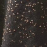 Grow Worm-Free Apples Naturally: The DIY Codling Moth Trap That Actually Works