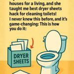 Rosemary & Cloves: The Natural Duo Loved for Wellness, Beauty, and Home Remedies