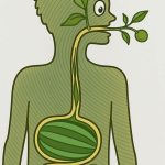 Seven-Layer Christmas Salad