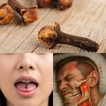 Grow Date Trees From Seed (Start in a Pot → Plant Outdoors): The Complete, No-Stress Guide