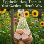 Simple Ways to Reduce Nighttime Wake-Ups and Improve Your Sleep Quality