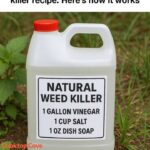 Amazing Drink For Fast Weight loss