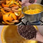 How to Make Homemade Clove Oil and the Powerful Benefits It Offers