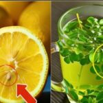 I Chew Cloves And Say Goodbye to 10 Years of Diabetes.. I’ll Give You The Recipe