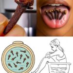 How To Propagate Rosemary from Cuttings in 4 Easy Steps